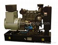 Perkins Diesel Generator