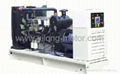 Perkins Diesel Generator