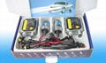 HID car kits  1