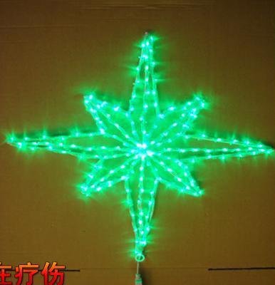 LED snowflake light  5