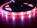 LED neon rope light 