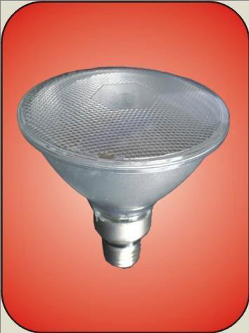 LED par lamp  3