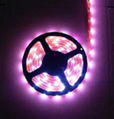 LED ribbon light  3