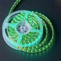 LED ribbon light  5