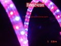 LED rope light series(see attached photos) 3