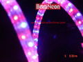 LED rope light series(see attached photos)