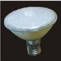 LED par lamp  1