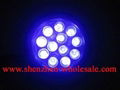 12 led uv flashlight