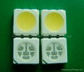 Top SMD LED