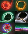 Flex SMD LED Strip