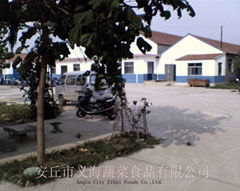 Anqiu Tai xin Agricultural Products Co., Ltd.