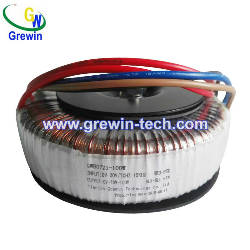 250VA toroidal transformer  5