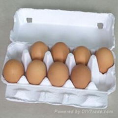 12 pack egg tray, 6 pack egg tray, molded pulp egg tray