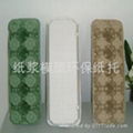 paper molded pulp egg tray 5