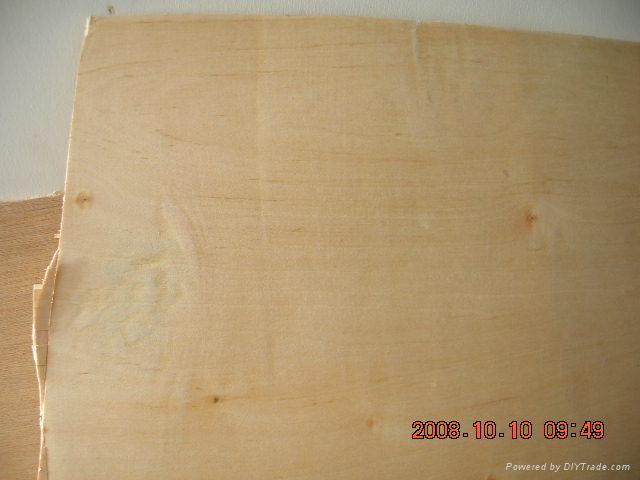 birch plywood