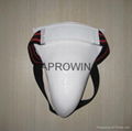 Taekwondo groin protector 1