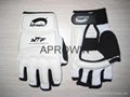 Taekwondo Gloves  Taekwondo Hand protector