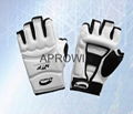 Taekwondo Gloves  Taekwondo Hand protector