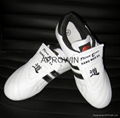 Taekwondo shoe 1