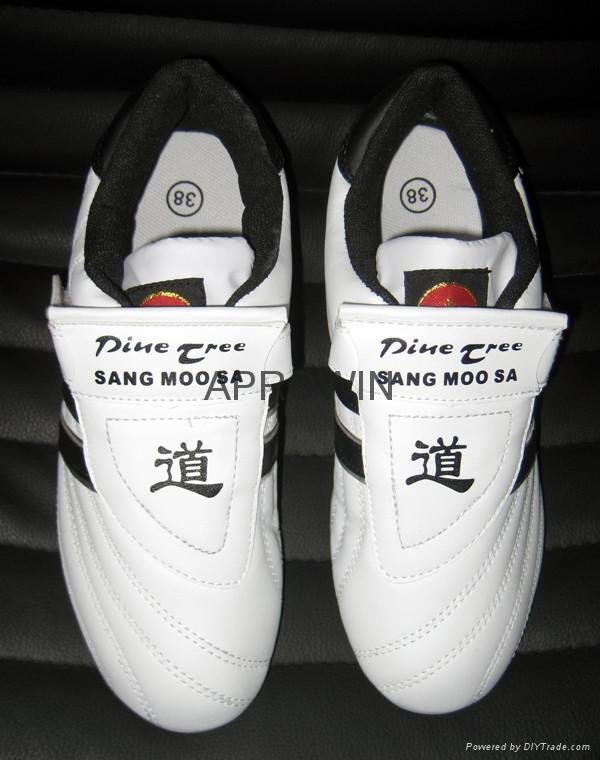 Taekwondo shoe 2