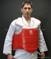 Taekwondo Body Protector Chest Guard 2