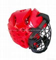 Head guard with net shield 1