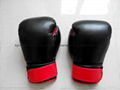 Boxing gloves 1