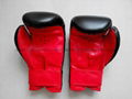 Boxing gloves 2