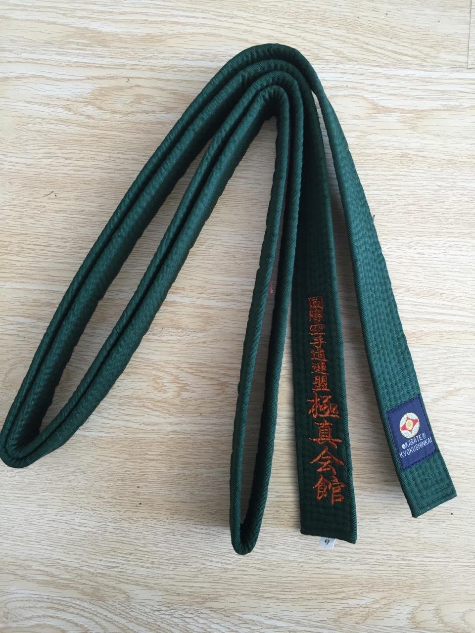 Kyokushin Karate color belt 2