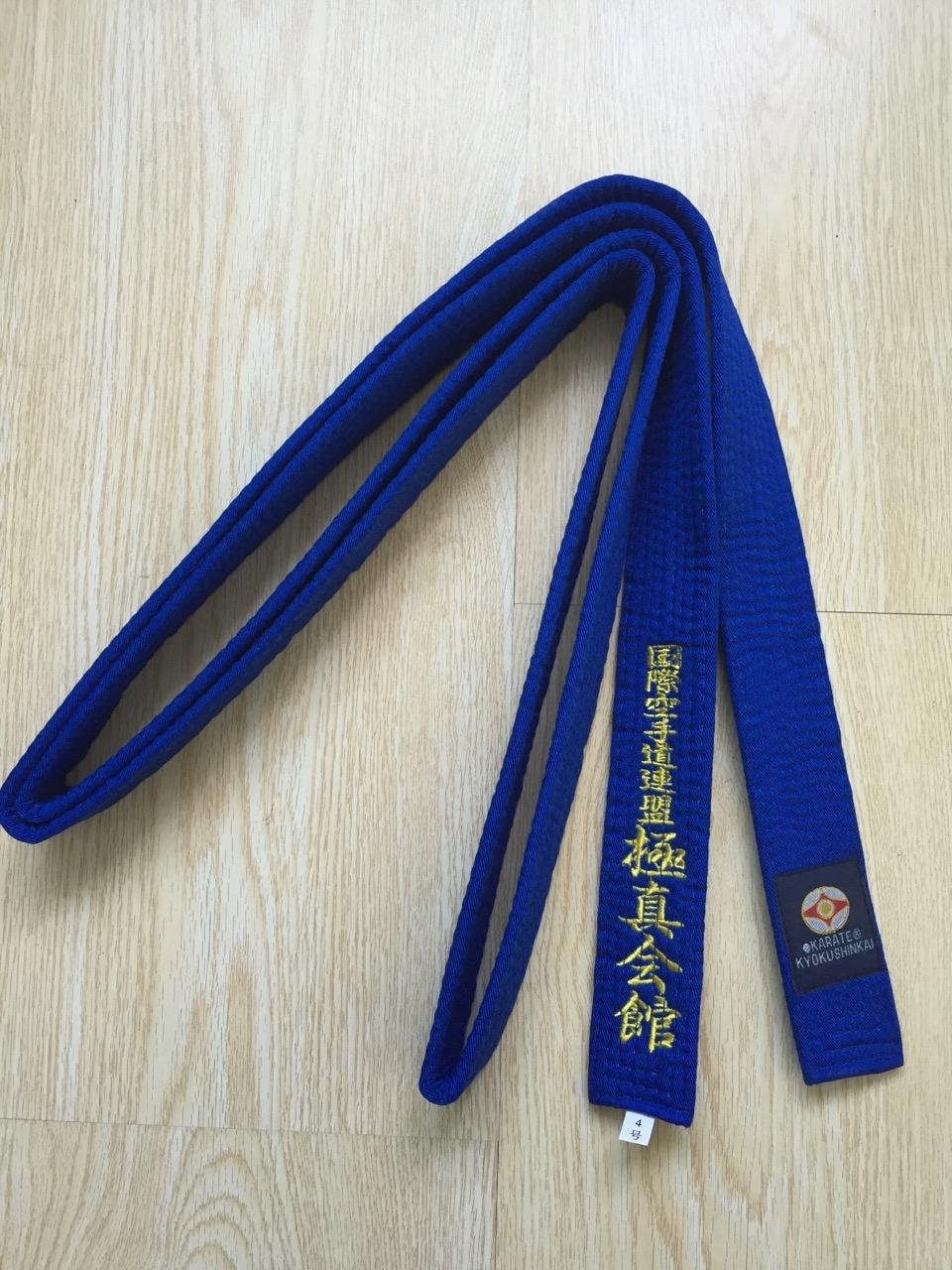 Kyokushin Karate color belt 3
