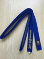 Kyokushin Karate color belt