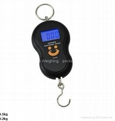 Hang scale 40kg/20g_l   age scale
