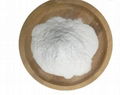 S-腺苷蛋氨酸 1,4-丁二磺酸鹽 1