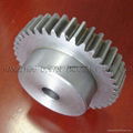 Spur Gear