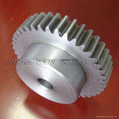 Spur Gear