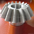 Bevel Gear 4