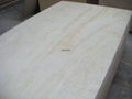 Construction Plywood,Pine Plywood 1