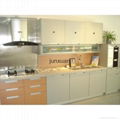Novel Design Environmentally Friendly Kitchen Cabinet(mdf plywood particleboard)