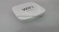 NEW WiFi Music Streamer hifi WAV DTS Lossless Music 3.5MM