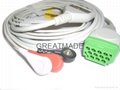 GE-馬葵一體式電纜及三導美標扣式導聯線