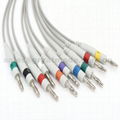 Nihon Kohden EKG cable with leadwires (4.0 Banana )