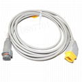 Nihon Kohden- BD IBP transducer  adapter cable