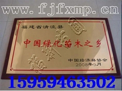 清流县嵩口福新苗圃