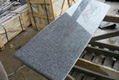 Granite Window sills