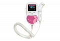 Fetal doppler with color display