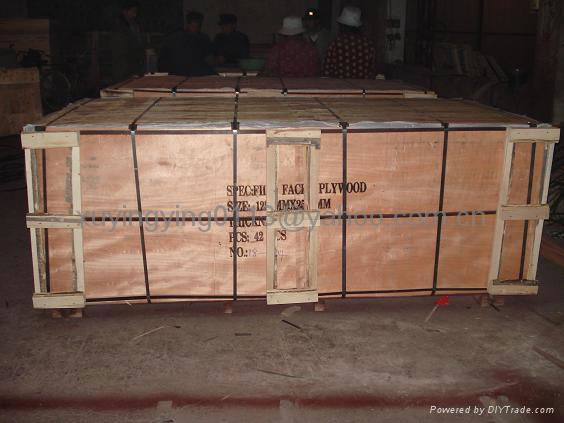 package of exported plywood 5