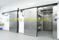 Automatic Sliding Door 1