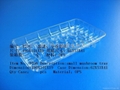 deli tray, bread tray,  biscuit tray,moon-cake tray, mushroom tray 2