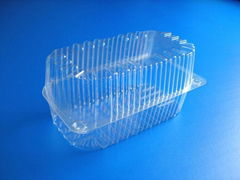 bread container, fruit container, salad container, food container