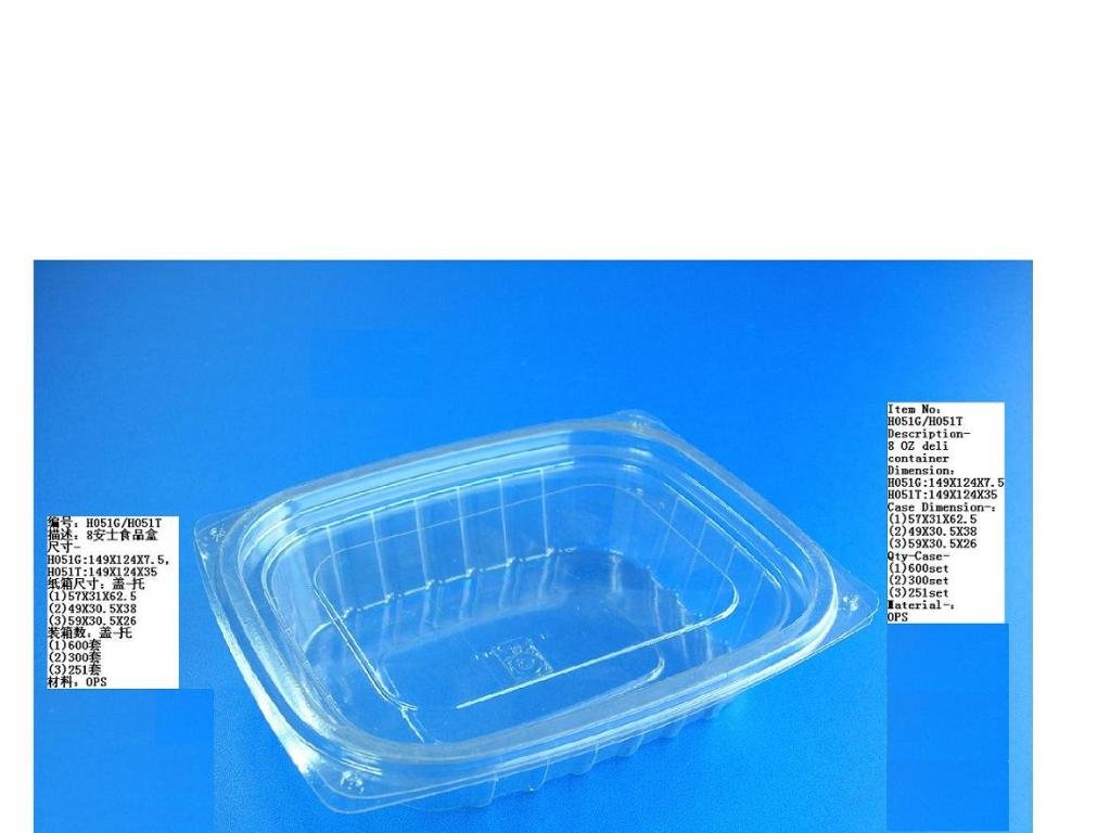 sushi&bread container, salad&fruit container,Custom Thermoforming